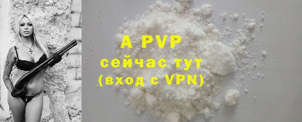 ГАЛЛЮЦИНОГЕННЫЕ ГРИБЫ Гусь-Хрустальный