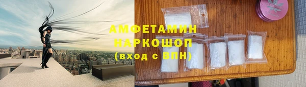 ГАЛЛЮЦИНОГЕННЫЕ ГРИБЫ Гусь-Хрустальный