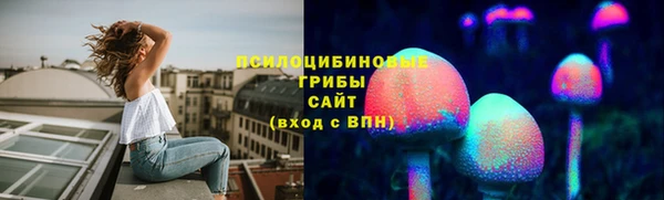 2c-b Гусев