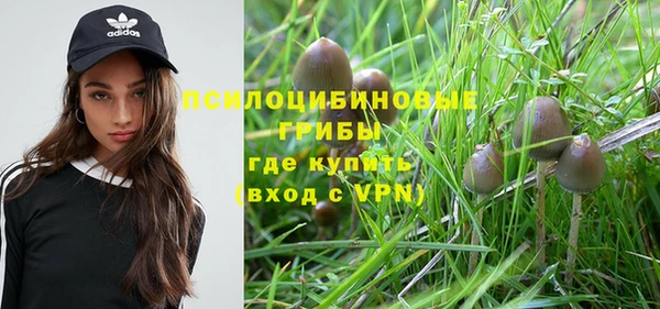 винт Гусиноозёрск