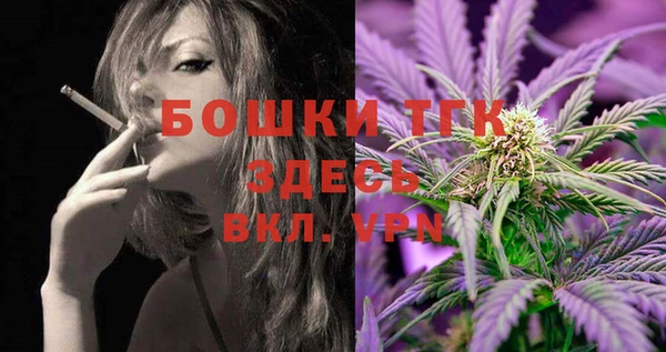 2c-b Гусев