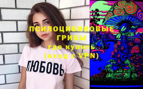 винт Гусиноозёрск
