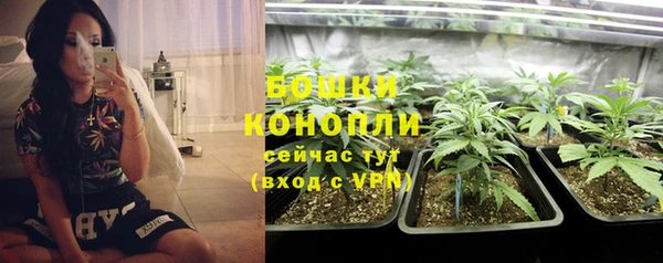 ГАЛЛЮЦИНОГЕННЫЕ ГРИБЫ Гусь-Хрустальный